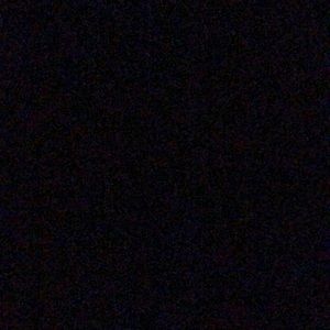 Meet your Posher, Susie